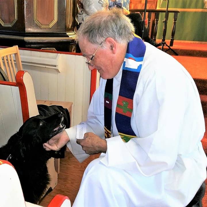 Parish priest blessing a dog at All Saints Anglican Church, demonstrating the welcoming spirit of the parish
