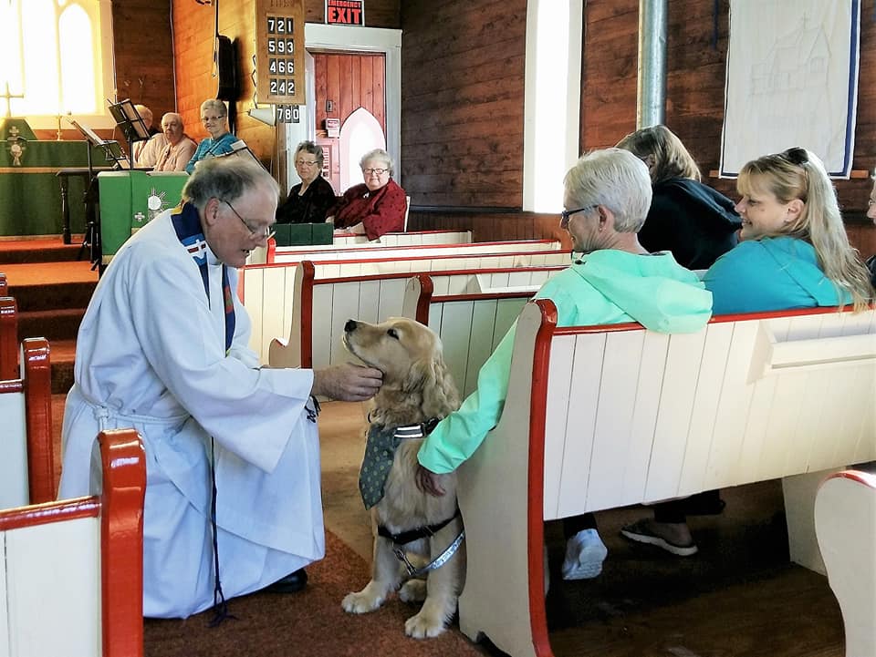 Anglican priest welcoming congregation members with a golden retriever at All Saints Anglican Church, Leask